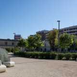 Diverso � lo scenario presente nel Parco Rossani